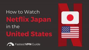 How to Watch Netflix Japan in the United States?